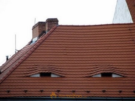 Roof Have Eyes