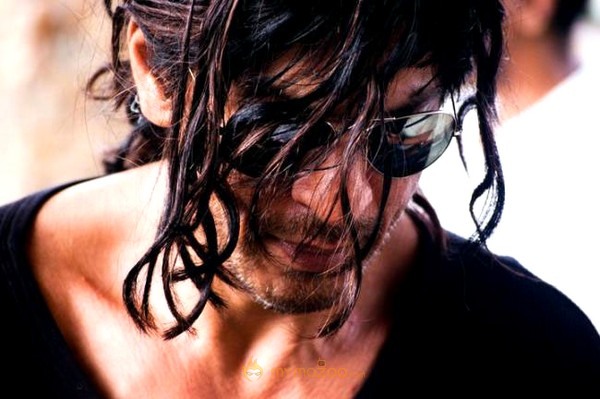 Shahrukh Khan Latest pic