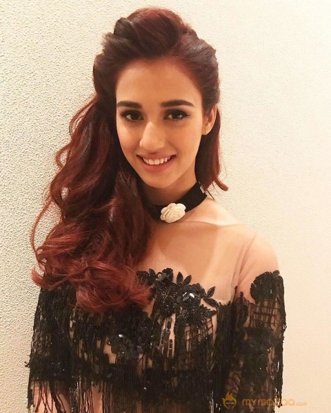 Disha Patani Hot & Sexy Bikini Latest Photos