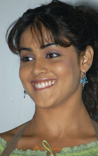 Cute genelia d souza Photo Gallery