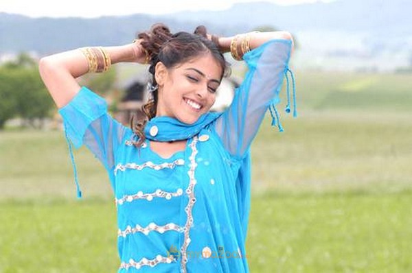 Cute genelia d souza Photo Gallery