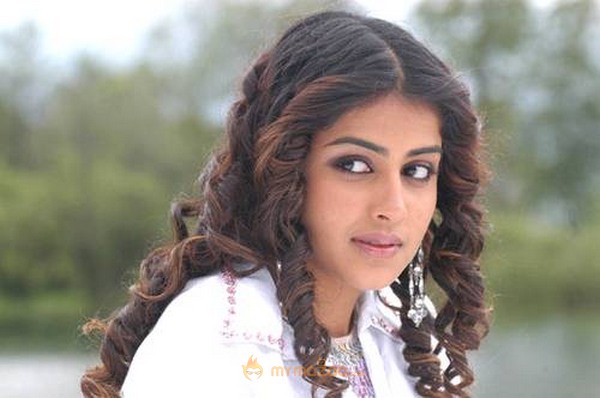 Cute genelia d souza Photo Gallery