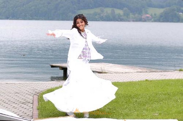 Cute genelia d souza Photo Gallery