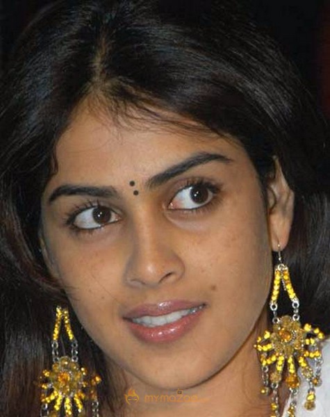 Cute genelia d souza Photo Gallery