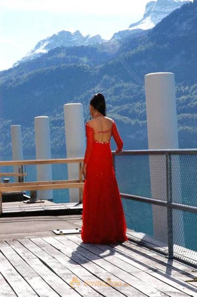 Cute genelia d souza Photo Gallery