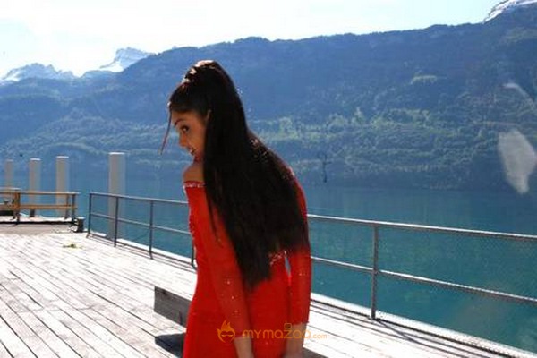 Cute genelia d souza Photo Gallery