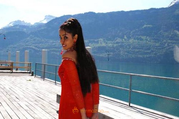Cute genelia d souza Photo Gallery