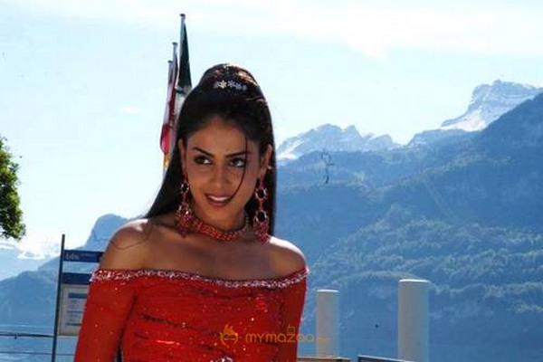 Cute genelia d souza Photo Gallery