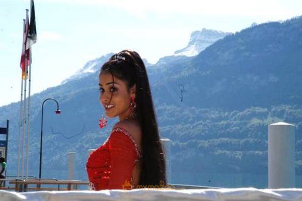 Cute genelia d souza Photo Gallery