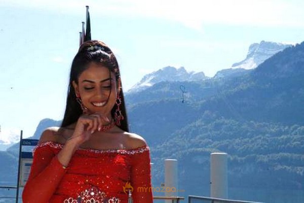 Cute genelia d souza Photo Gallery