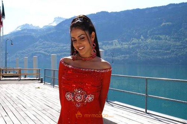 Cute genelia d souza Photo Gallery