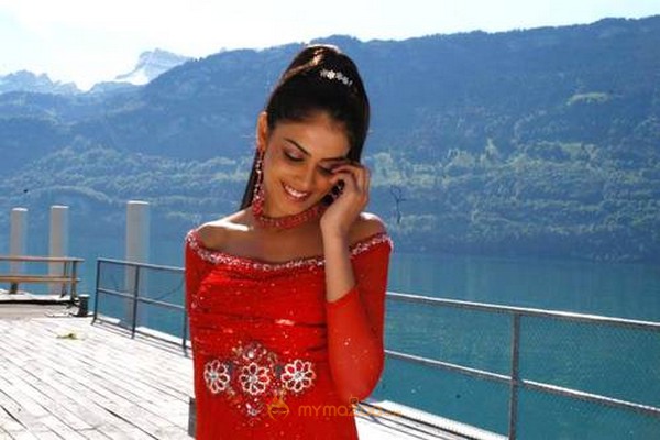 Cute genelia d souza Photo Gallery