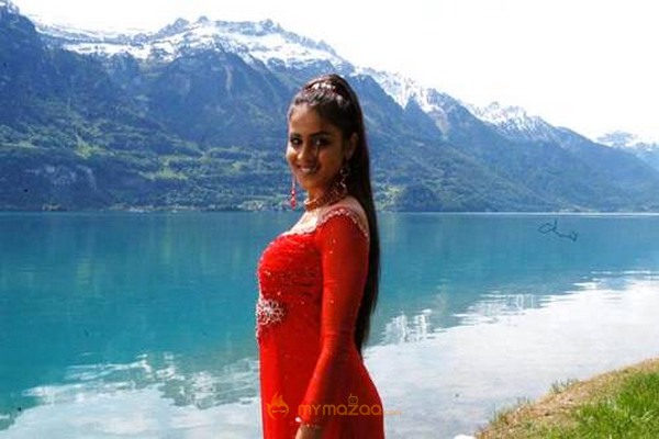 Cute genelia d souza Photo Gallery