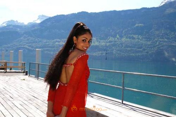 Cute genelia d souza Photo Gallery