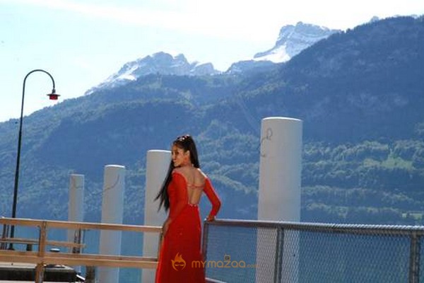 Cute genelia d souza Photo Gallery