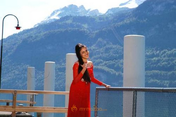 Cute genelia d souza Photo Gallery