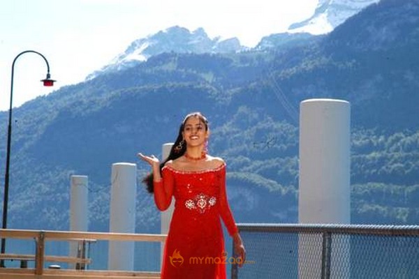 Cute genelia d souza Photo Gallery