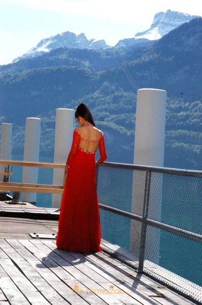 Cute genelia d souza Photo Gallery