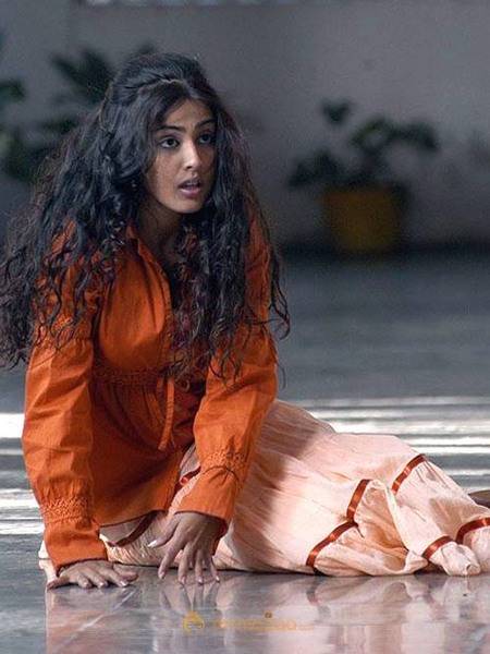 Cute genelia d souza Photo Gallery