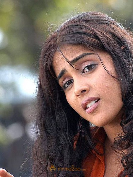Cute genelia d souza Photo Gallery