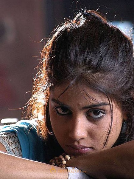 Cute genelia d souza Photo Gallery