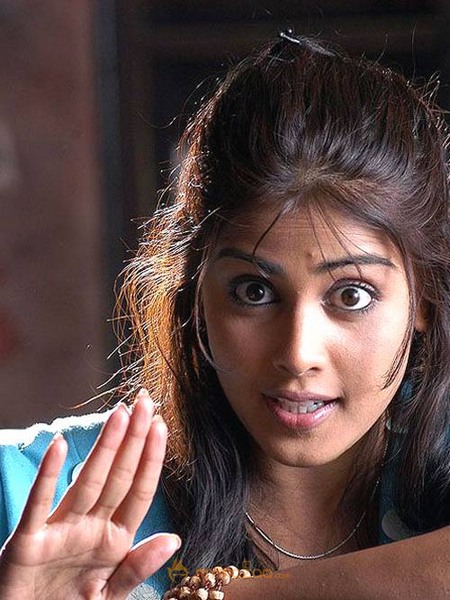 Cute genelia d souza Photo Gallery