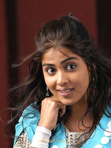 Cute genelia d souza Photo Gallery