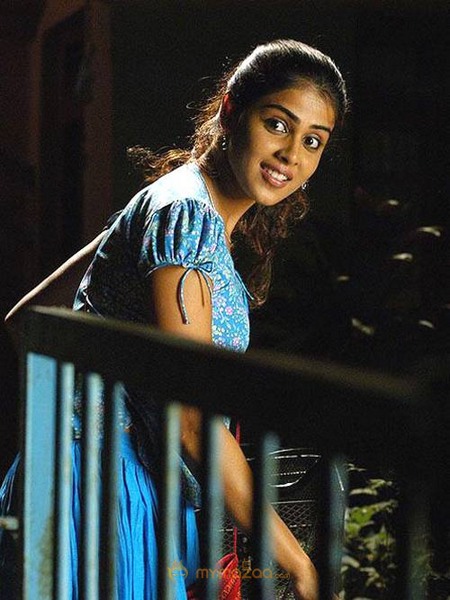 Cute genelia d souza Photo Gallery