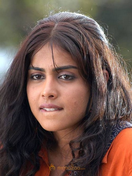 Cute genelia d souza Photo Gallery