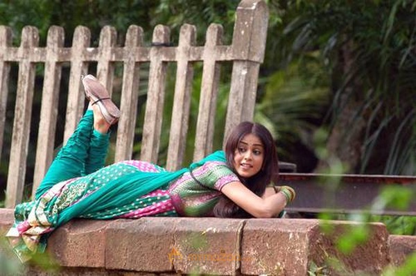 Cute genelia d souza Photo Gallery