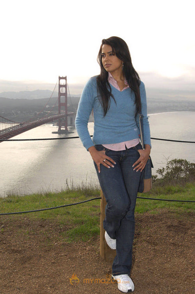 Hot Sameera Raddy Photo Gallery