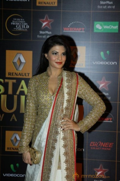 9th Renault Star Guild Awards Photos