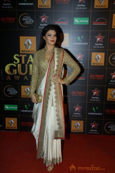 9th Renault Star Guild Awards Photos