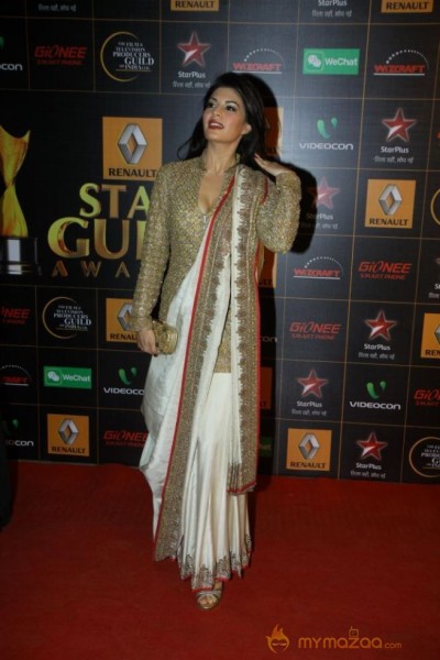 9th Renault Star Guild Awards Photos