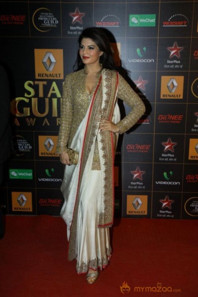 9th Renault Star Guild Awards Photos