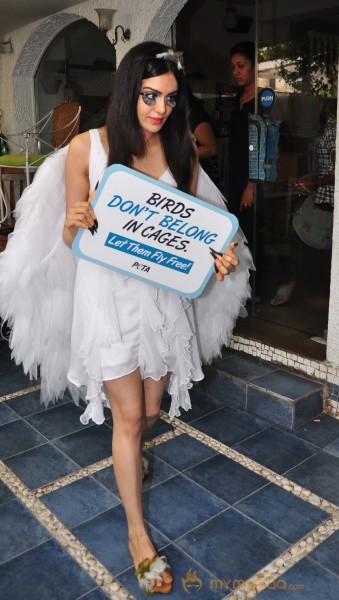 Adah Sharma Says Birds Don't Belong In Cages Event 