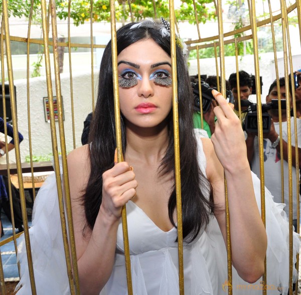 Adah Sharma Says Birds Don't Belong In Cages Event 