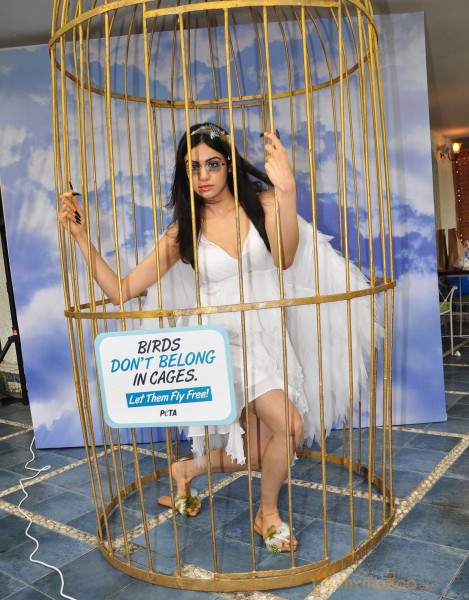 Adah Sharma Says Birds Don't Belong In Cages Event 