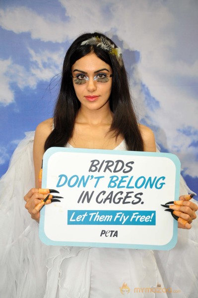 Adah Sharma Says Birds Don't Belong In Cages Event 