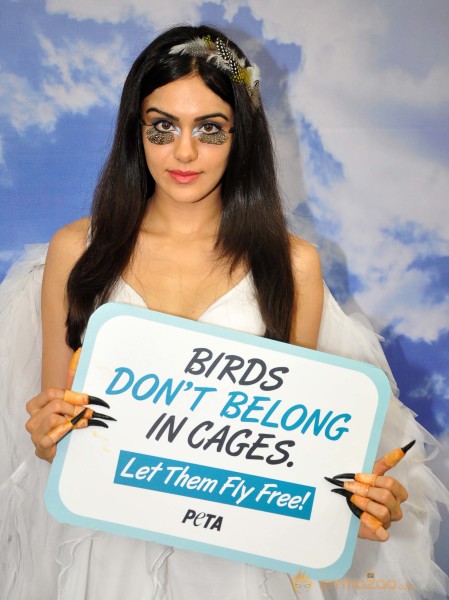 Adah Sharma Says Birds Don't Belong In Cages Event 