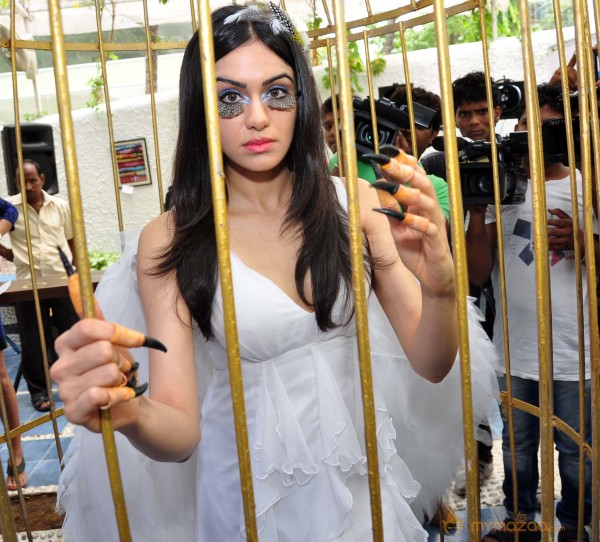 Adah Sharma Says Birds Don't Belong In Cages Event 