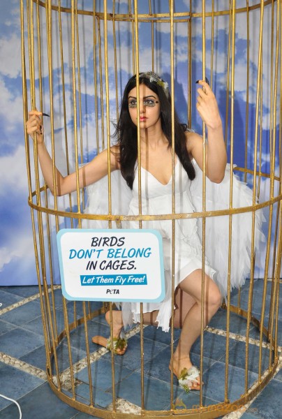 Adah Sharma Says Birds Don't Belong In Cages Event 