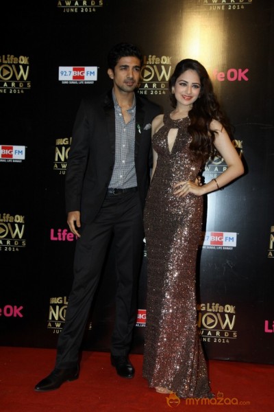 Bolly Celebs At BIG Life OK Awards 2014