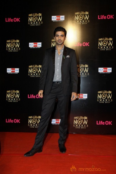 Bolly Celebs At BIG Life OK Awards 2014