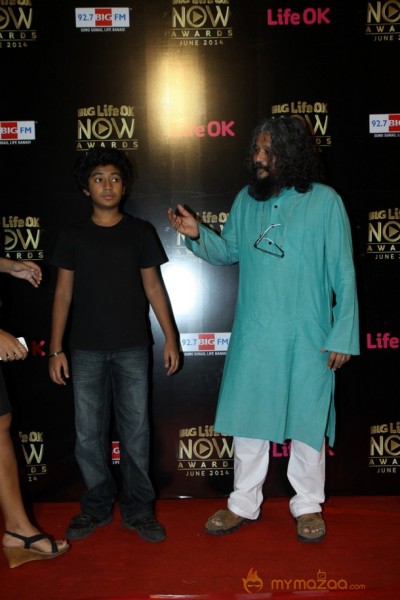 Bolly Celebs At BIG Life OK Awards 2014
