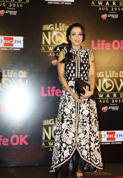 Bolly Celebs at the Life OK Now Awards 2014