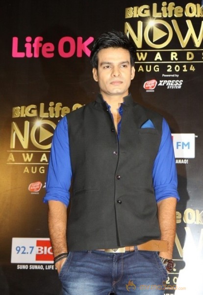 Bolly Celebs at the Life OK Now Awards 2014