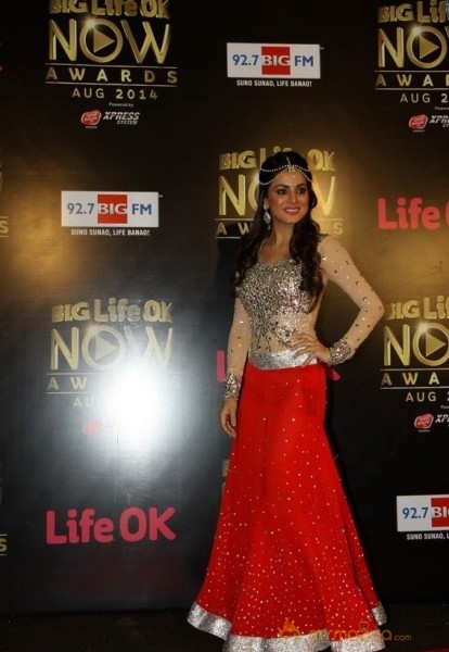 Bolly Celebs at the Life OK Now Awards 2014