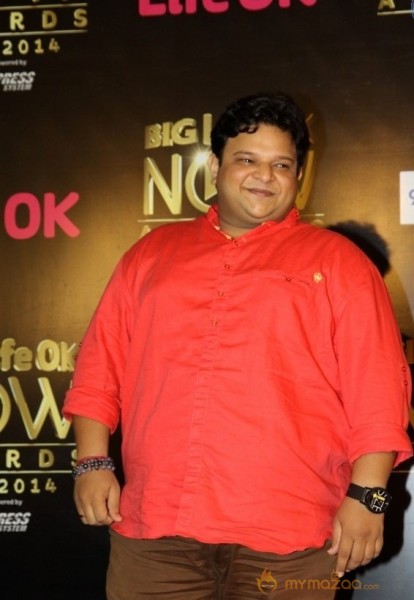 Bolly Celebs at the Life OK Now Awards 2014