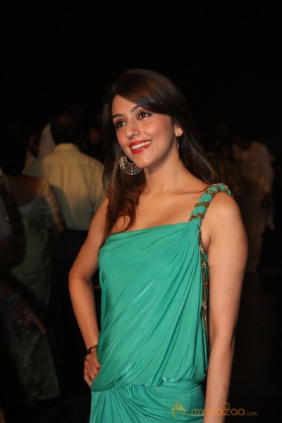 Bollywood Celebraties At IIJW 2013